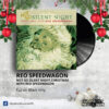 Christmas with REO Speedwagon - Not So Silent Night _ Vinyl Records Philippines _ Slipmat Records Philippines