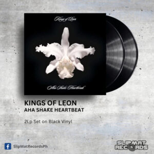 Kings Of Leon - Aha Shake Heartbreak