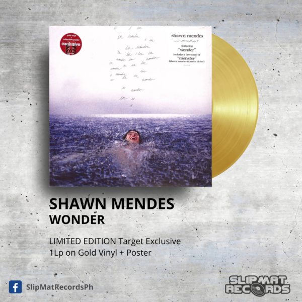 Shawn Mendes - Wonder