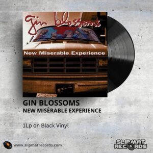 Gin Blossoms - New Miserable Experience