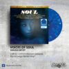 Voices Of Soul - Various Artist _ Vinyl Records Philippines _ Slipmat Records