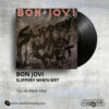 Bon Jovi - Slippery When Wet _ Vinyl Records Philippines _ Slipmat Records