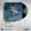 Conan Gray - Wishbone _ Vinyl Records Philippines _ Slipmat Records