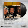 Black Eyed Peas - Bridging The Gap _ Vinyl Records Philippines _ Slipmat Records