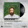 Iron & Wine - Our Endless Numbered Days _ Vinyl Records Philippines _ Slipmat Records