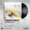 A Perfect Circle - Thirteenth Step _ Vinyl Records Philippines _ Slipmat Records